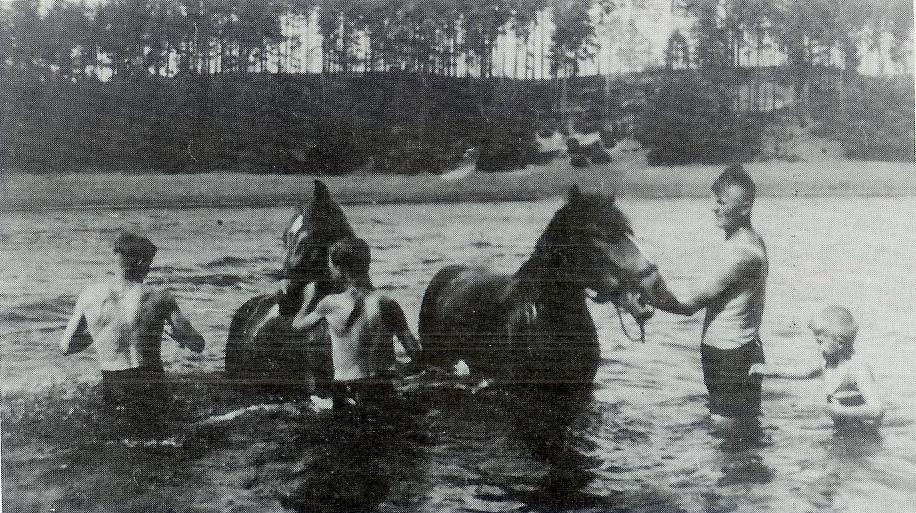 Pferdebaden im Romanek-See